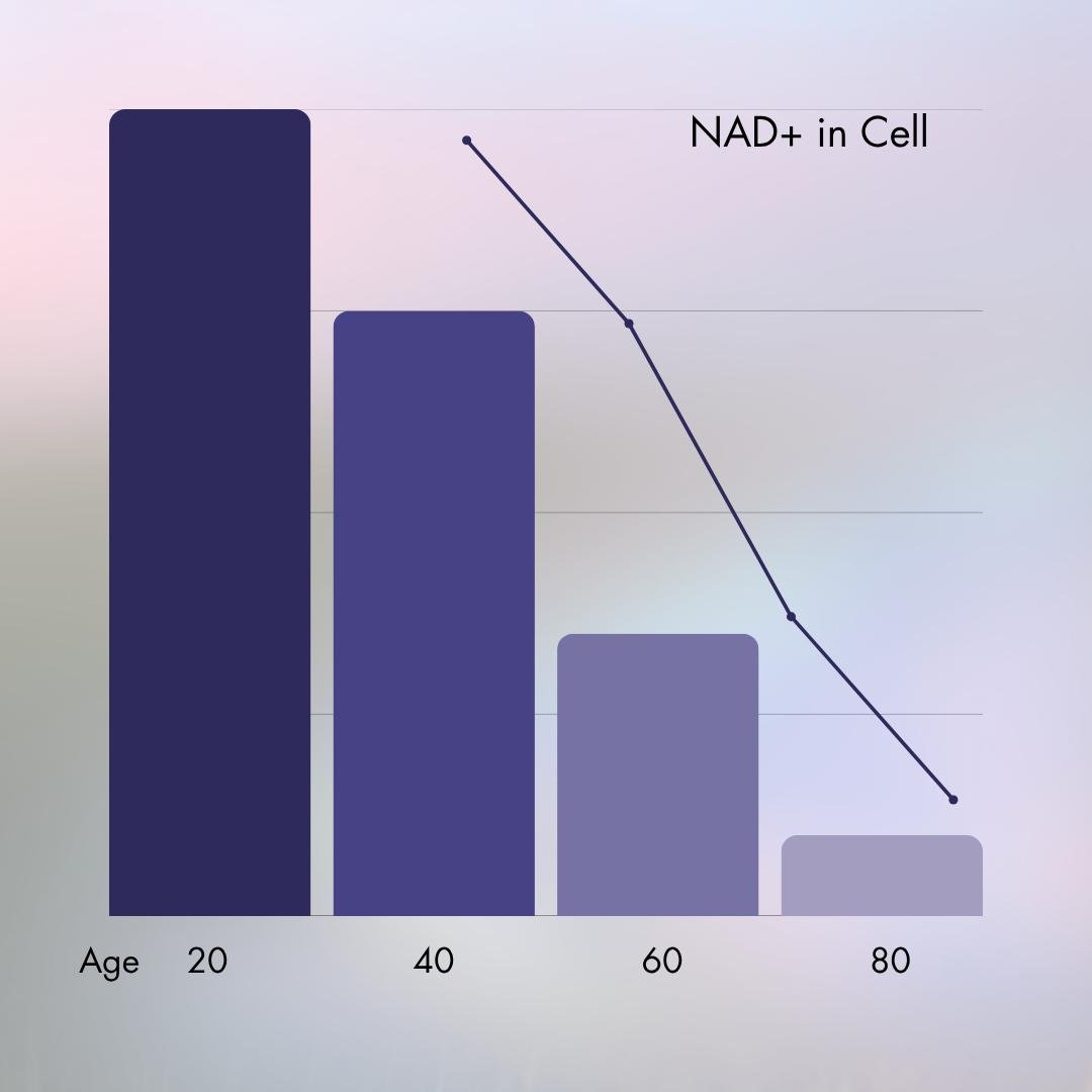 Chart of NAD+ levels in blood declining with age
